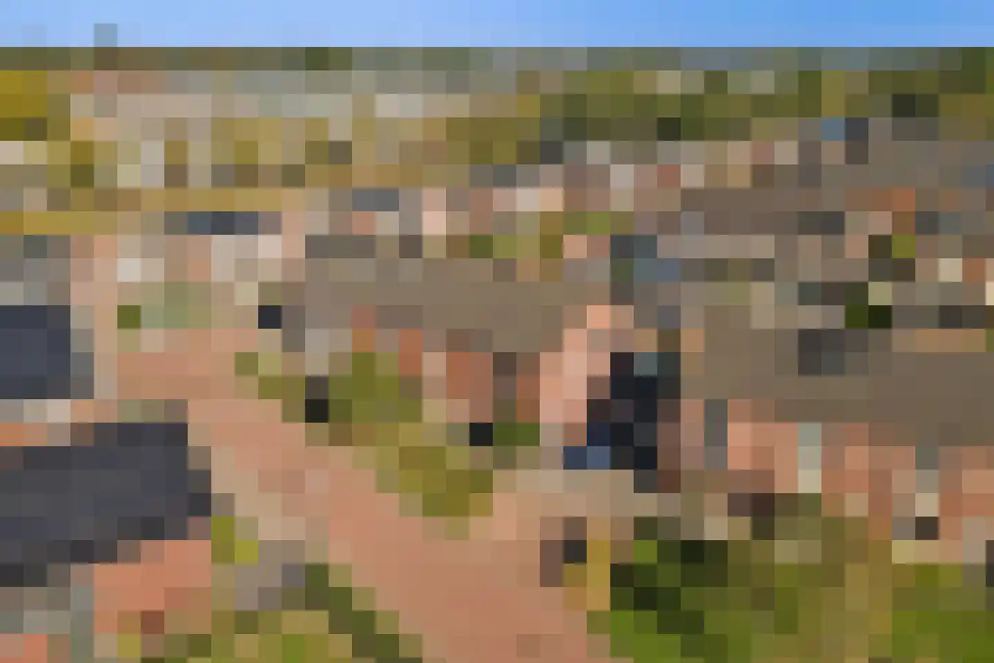 Blaarkop 17 Hapert thumbnail 42