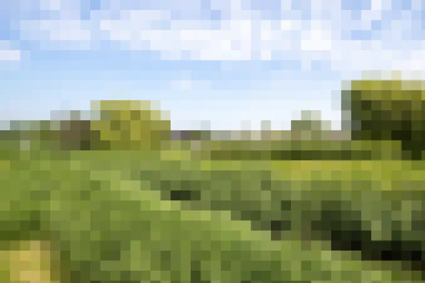 Blaarkop 2 Ter Aar thumbnail 28