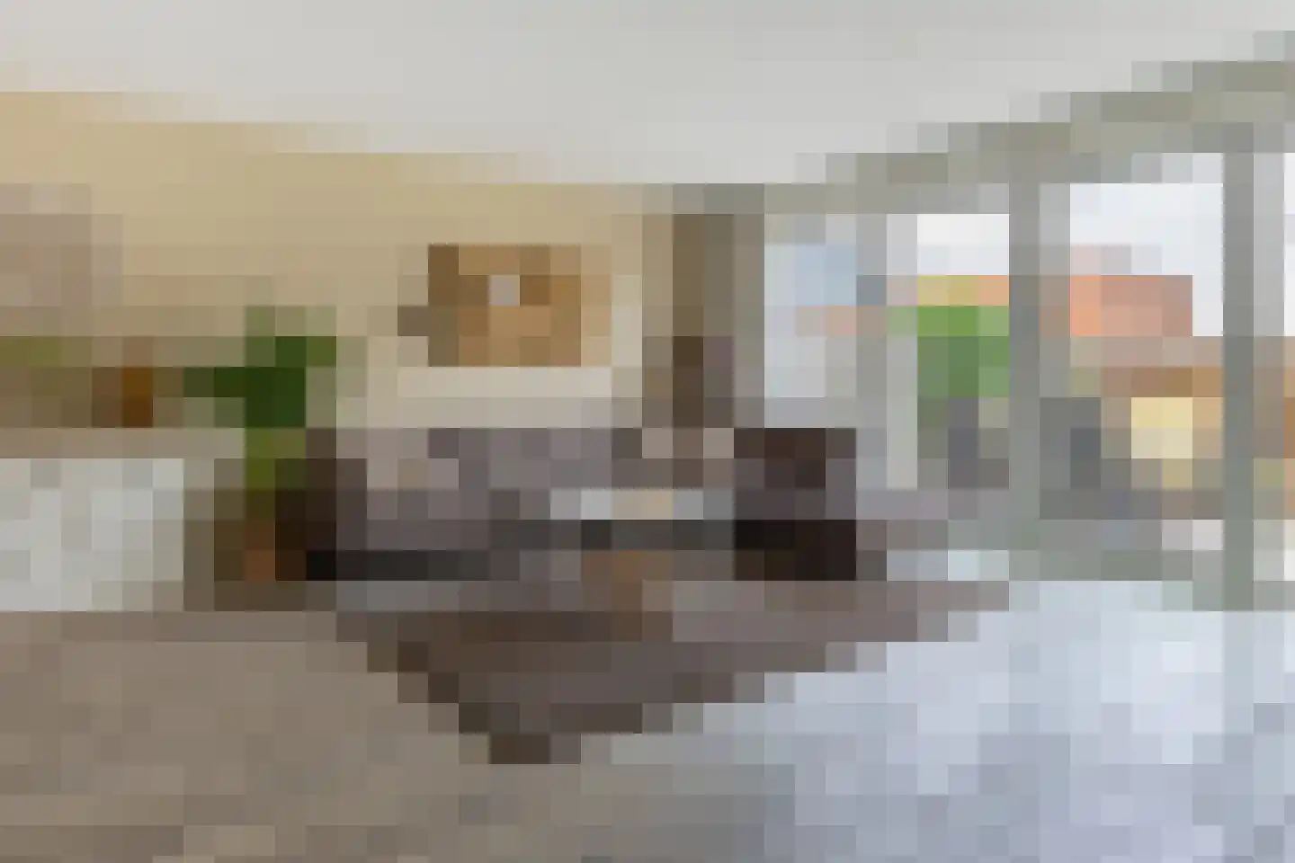 Blaarkop 2 Ter Aar foto 3