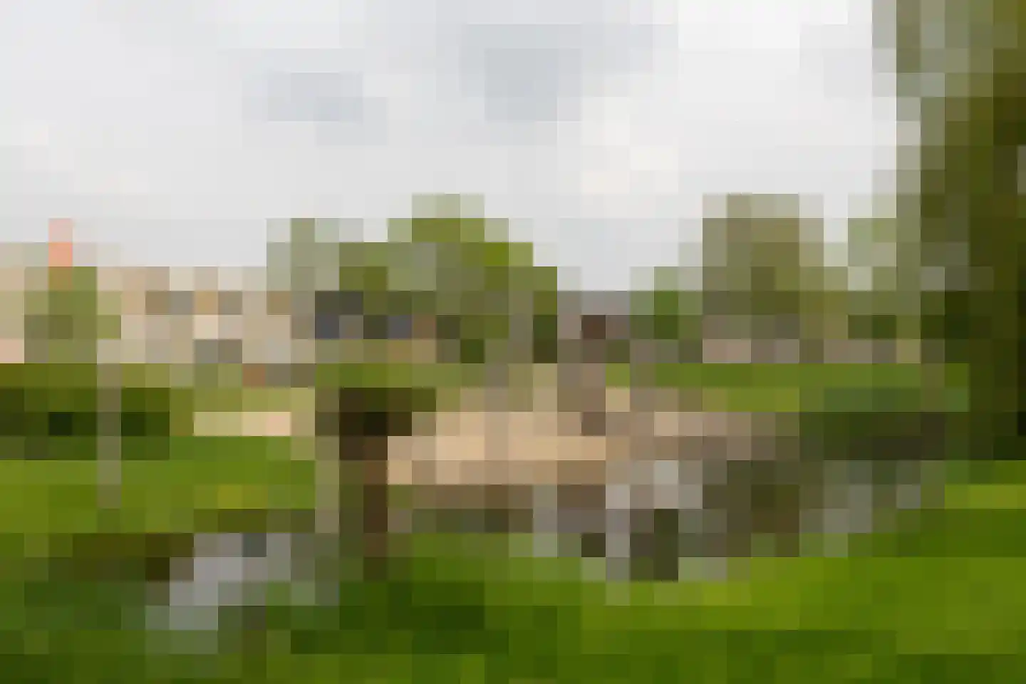 Blaarkop 2 Ter Aar thumbnail 31