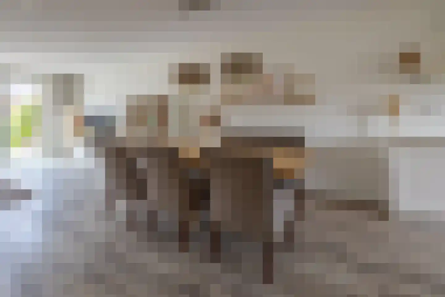 Blaarkop 2 Ter Aar thumbnail 5