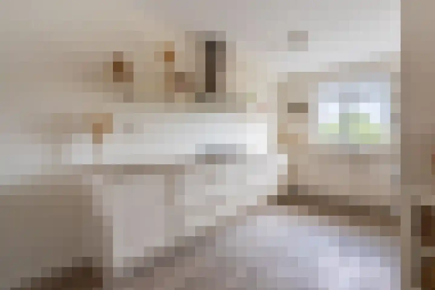 Blaarkop 2 Ter Aar thumbnail 6