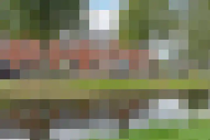 Blaarkop 21 dans Ter Aar