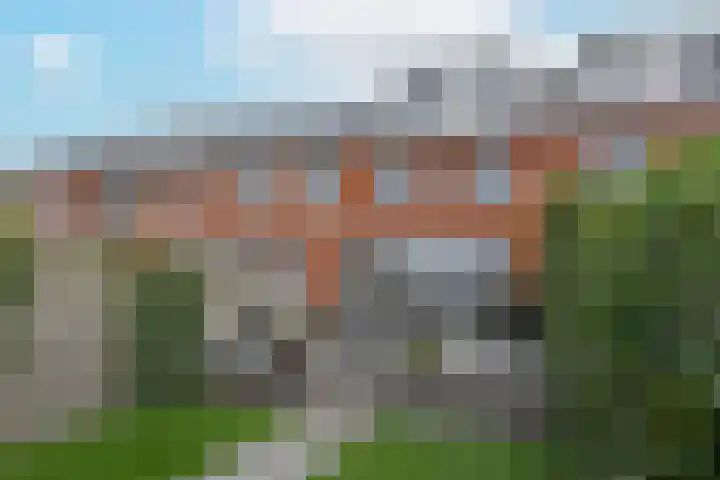 Blaarkop 21 Ter Aar thumbnail 25