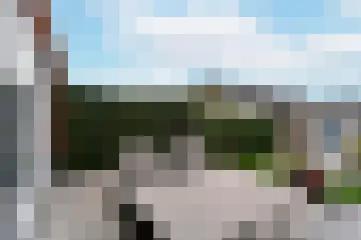 Blaarkop 21 Ter Aar thumbnail 26