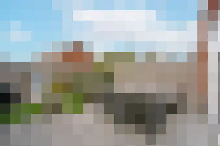 Blaarkop 21 Ter Aar thumbnail 27