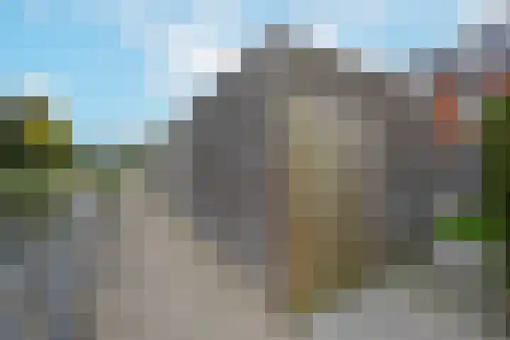 Blaarkop 21 Ter Aar thumbnail 28