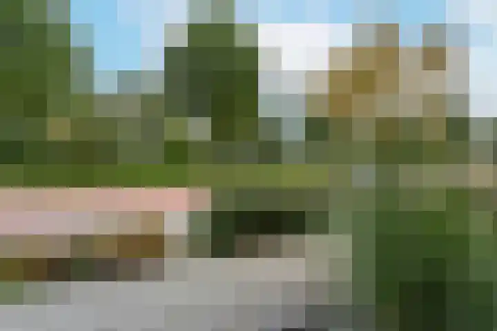 Blaarkop 21 Ter Aar thumbnail 29