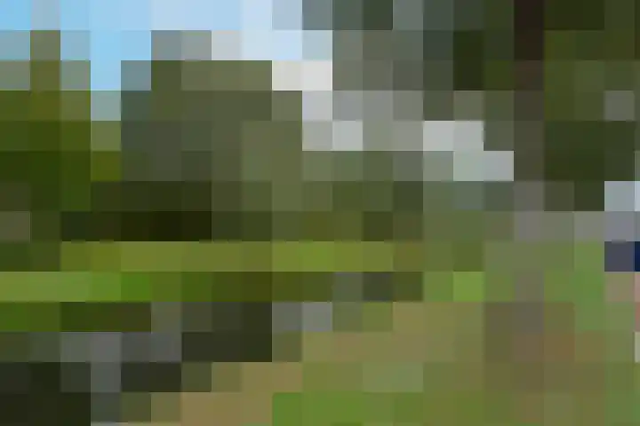Blaarkop 21 Ter Aar thumbnail 30