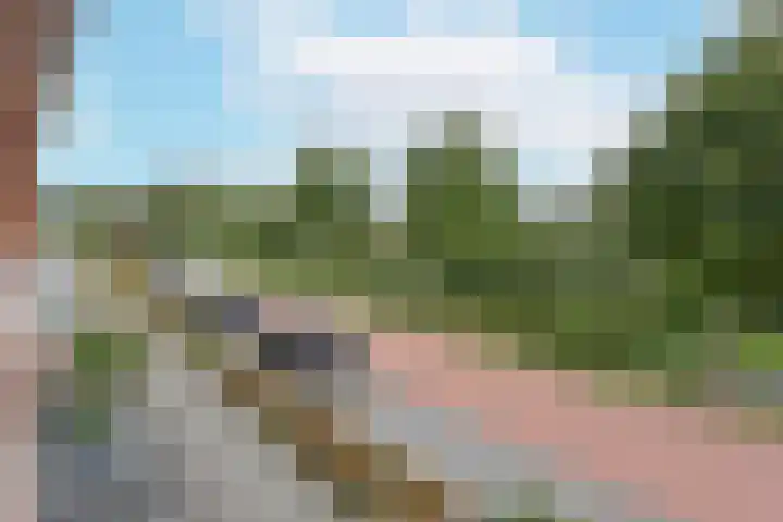 Blaarkop 21 Ter Aar thumbnail 31