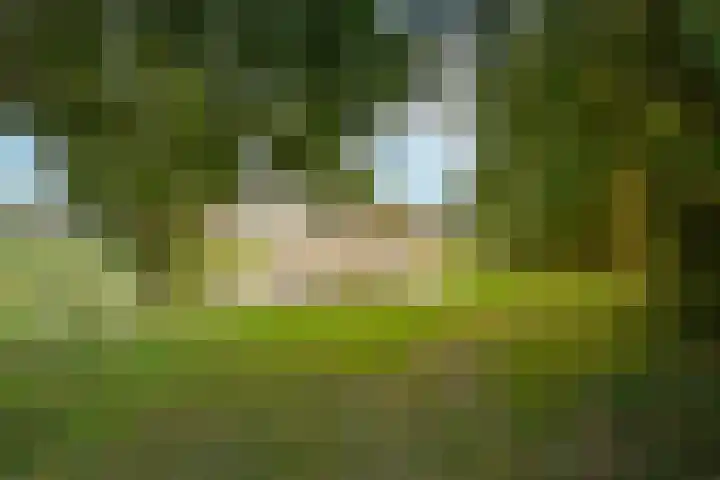 Blaarkop 21 Ter Aar thumbnail 32