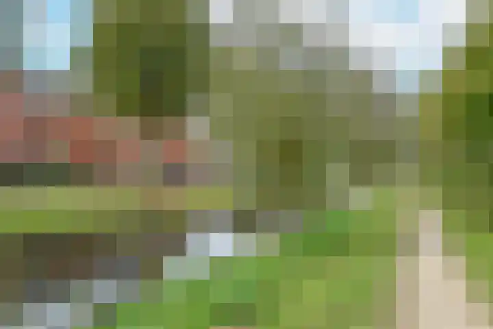 Blaarkop 21 Ter Aar thumbnail 33