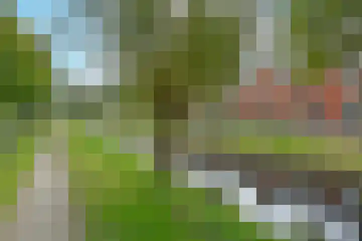 Blaarkop 21 Ter Aar thumbnail 34