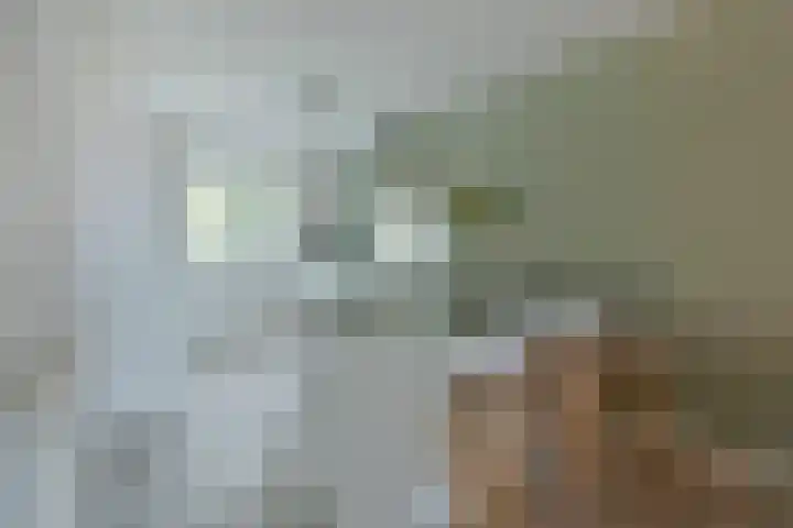 Blaarkop 21 Ter Aar thumbnail 5