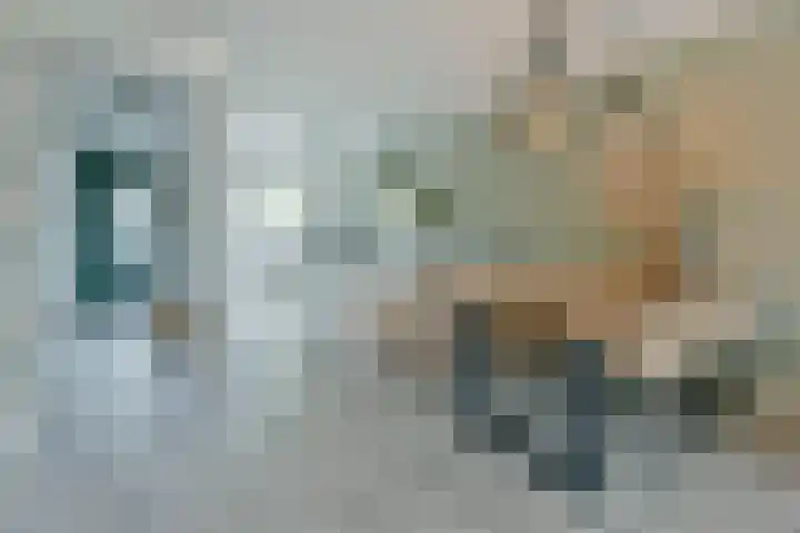 Blaarkop 21 Ter Aar thumbnail 6
