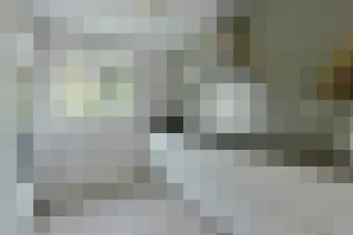 Blaarkop 21 Ter Aar thumbnail 7
