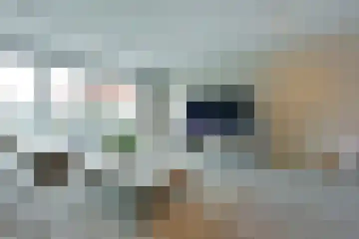 Blaarkop 21 Ter Aar thumbnail 9
