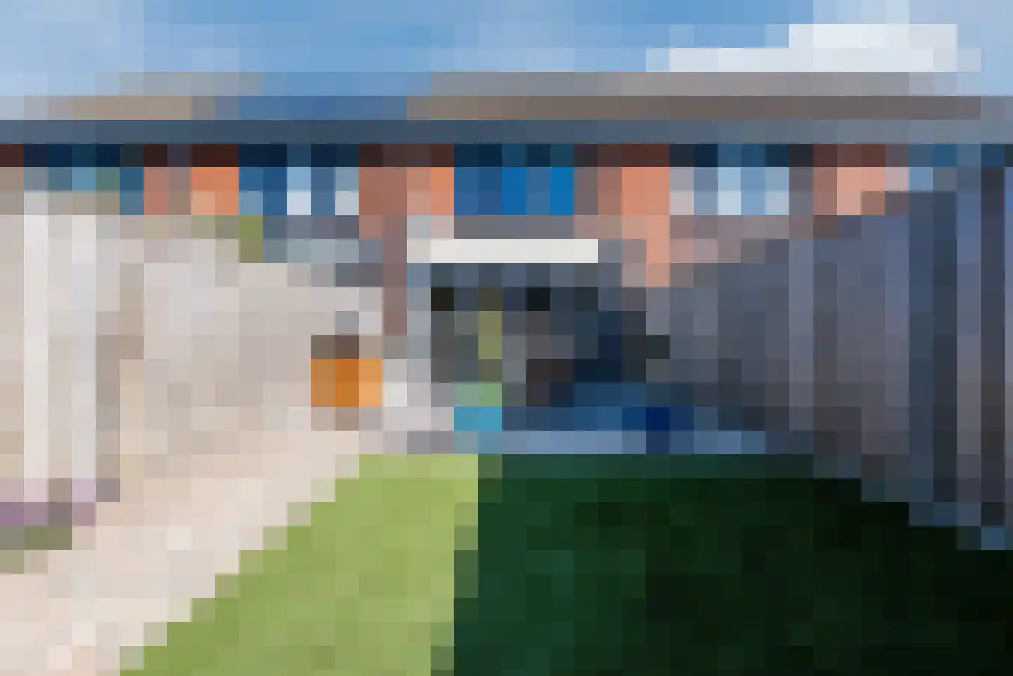 Blaarkop 22 Hapert thumbnail 27
