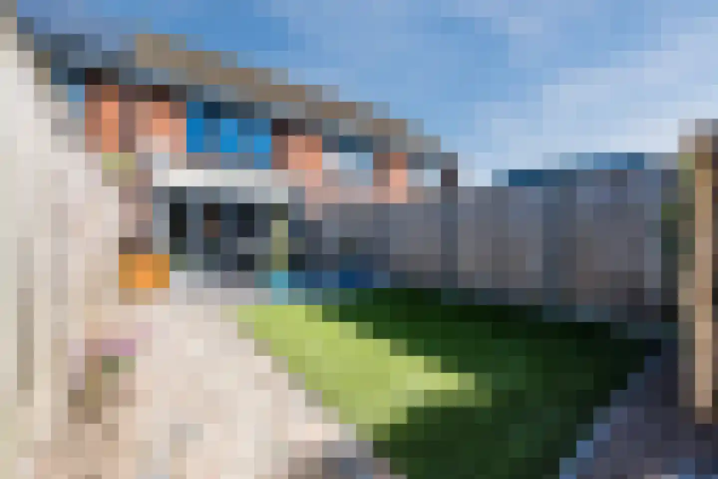 Blaarkop 22 Hapert thumbnail 28