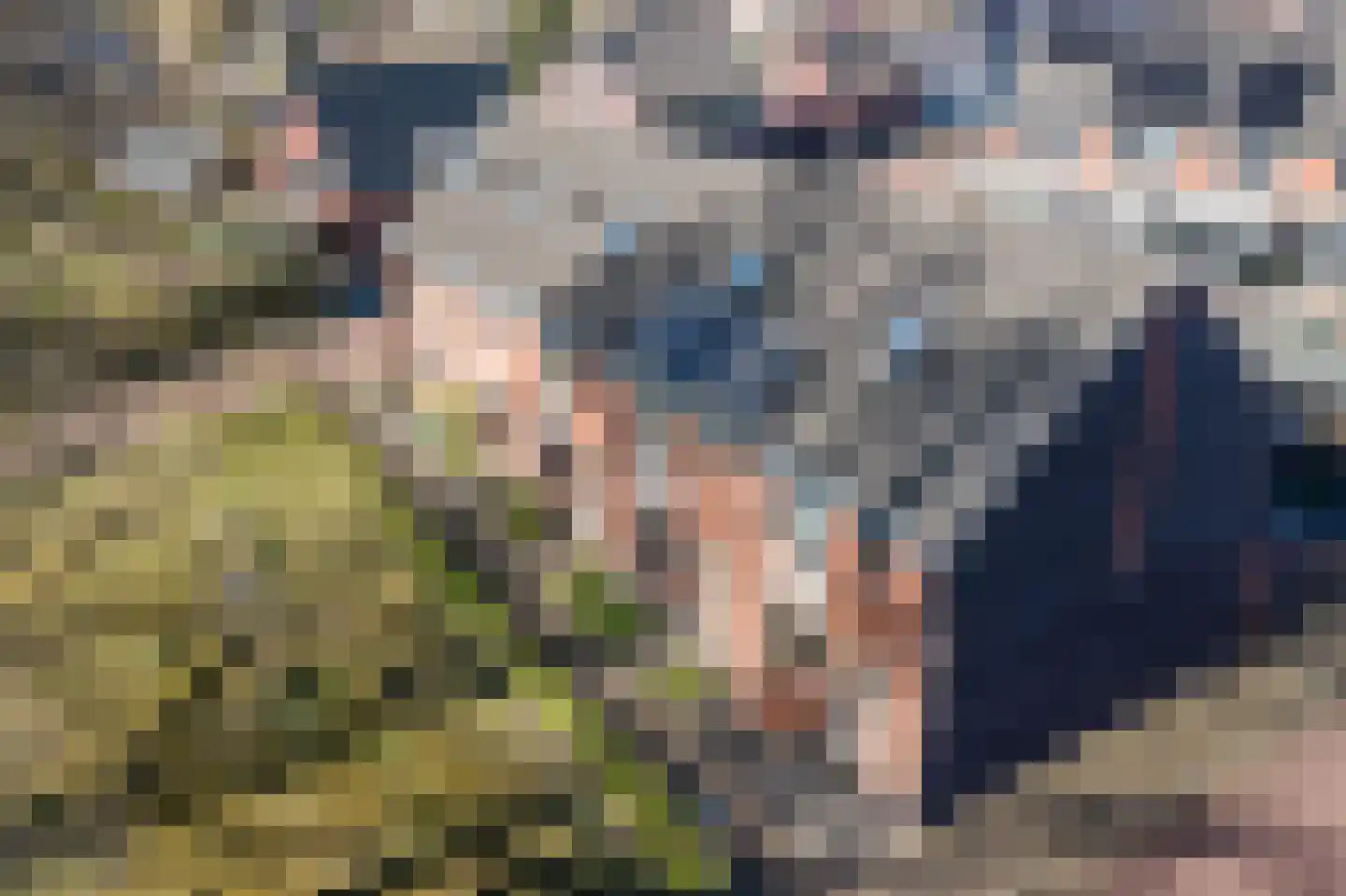 Blaarkop 22 Hapert thumbnail 29