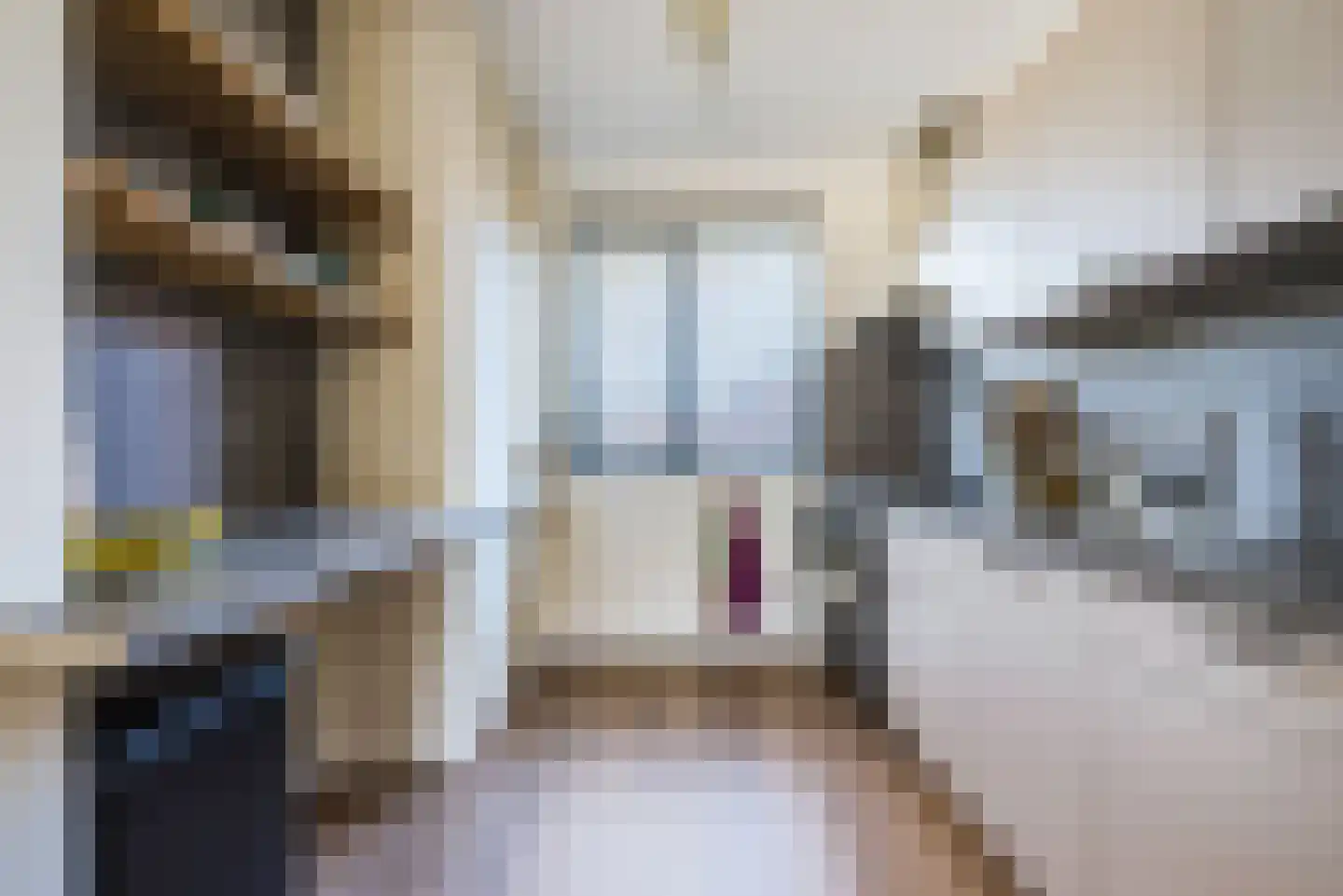 Blaarkop 22 Hapert thumbnail 6