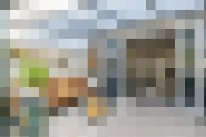Blaarkop 25 Hapert thumbnail 14