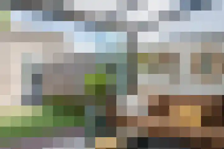Blaarkop 25 Hapert thumbnail 15