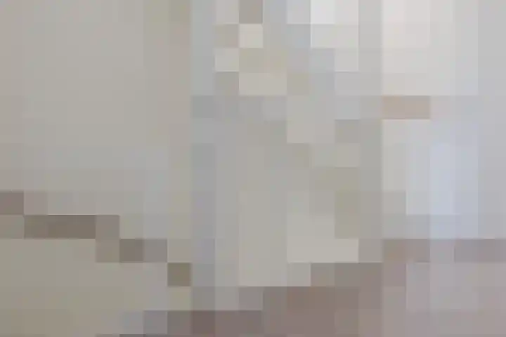 Blaarkop 25 Hapert thumbnail 18