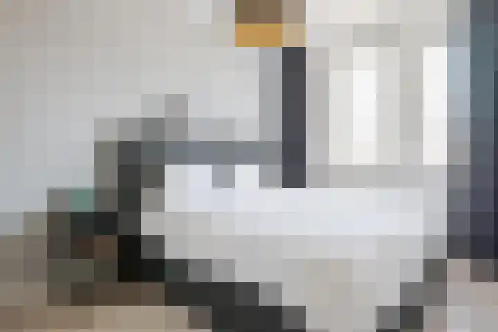 Blaarkop 25 Hapert thumbnail 19