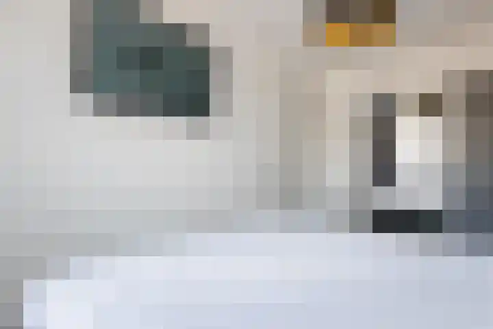Blaarkop 25 Hapert thumbnail 20