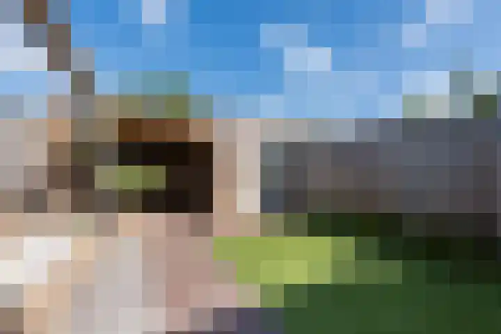 Blaarkop 25 Hapert thumbnail 31