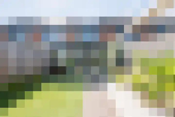 Blaarkop 25 Hapert thumbnail 32