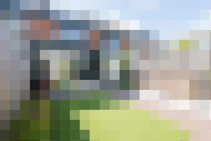 Blaarkop 25 Hapert thumbnail 33