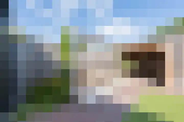 Blaarkop 25 Hapert thumbnail 34