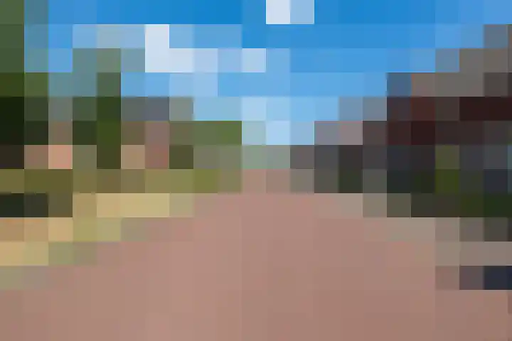 Blaarkop 25 Hapert thumbnail 36
