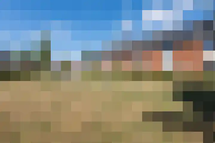 Blaarkop 25 Hapert thumbnail 37