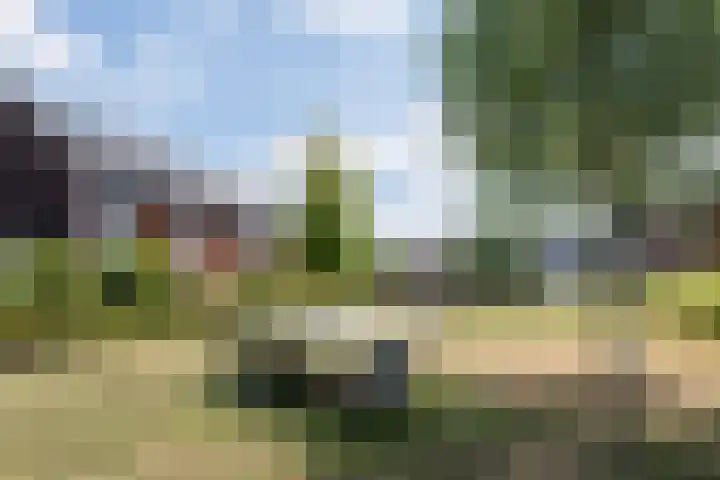 Blaarkop 25 Hapert thumbnail 38