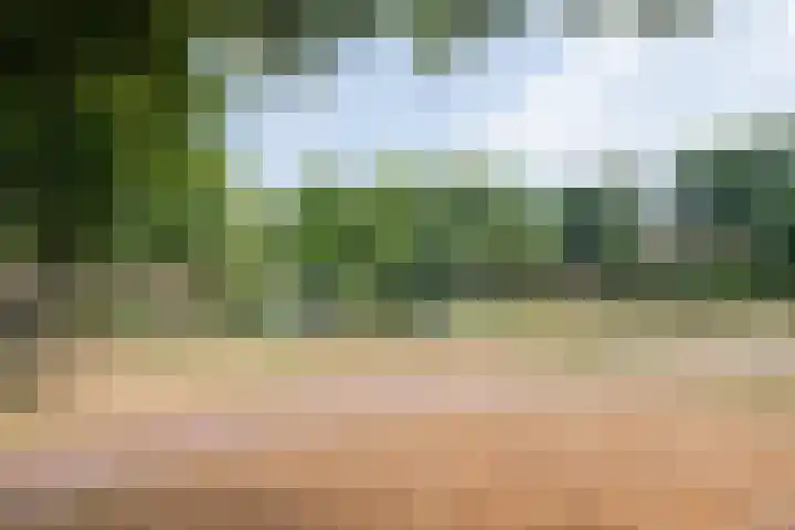 Blaarkop 25 Hapert thumbnail 39