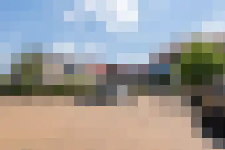 Blaarkop 25 Hapert thumbnail 40