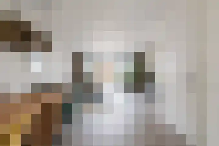 Blaarkop 25 Hapert thumbnail 5