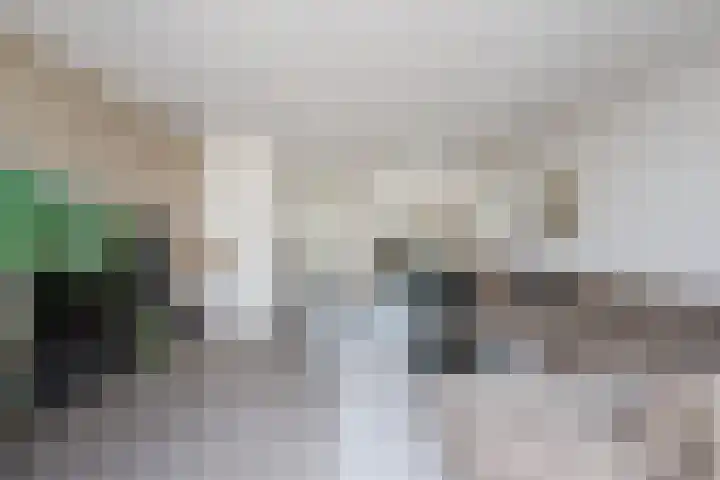 Blaarkop 25 Hapert thumbnail 6
