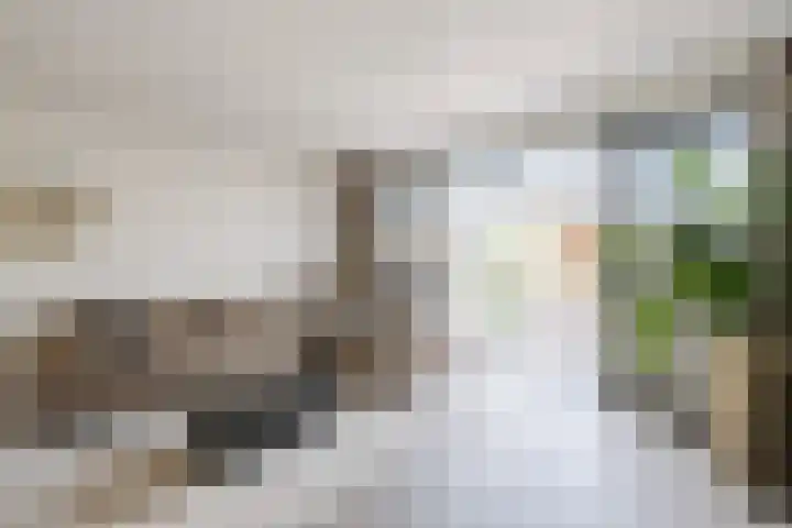 Blaarkop 25 Hapert thumbnail 7