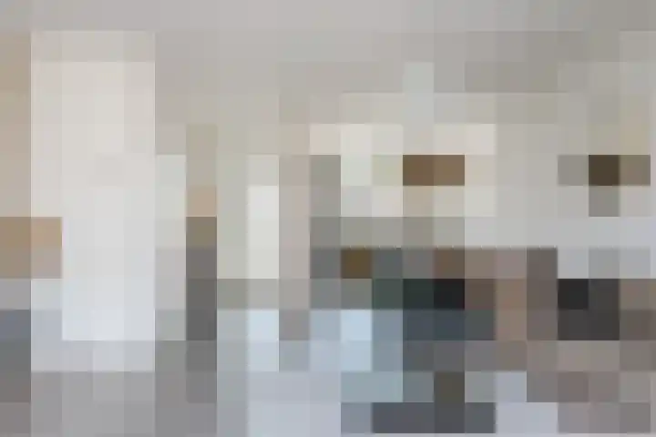 Blaarkop 25 Hapert thumbnail 9
