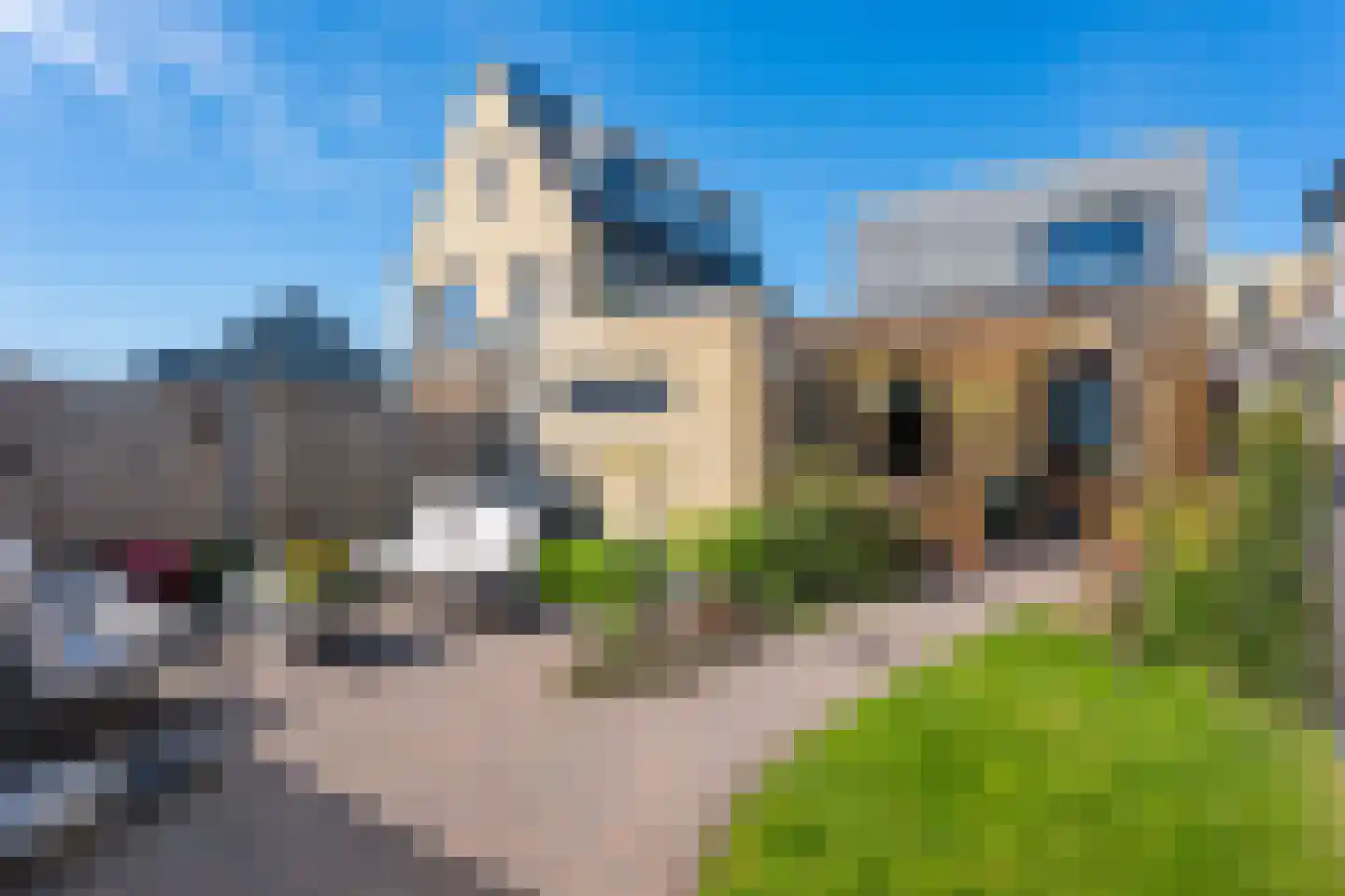 Blaarkop 35 Meerstad thumbnail 5