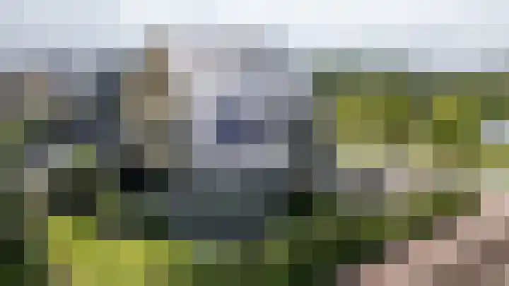 Blaarkop 51 Meerstad thumbnail 10