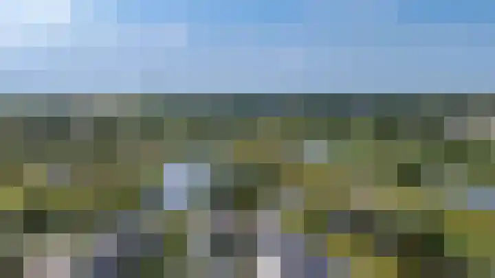 Blaarkop 51 Meerstad thumbnail 11
