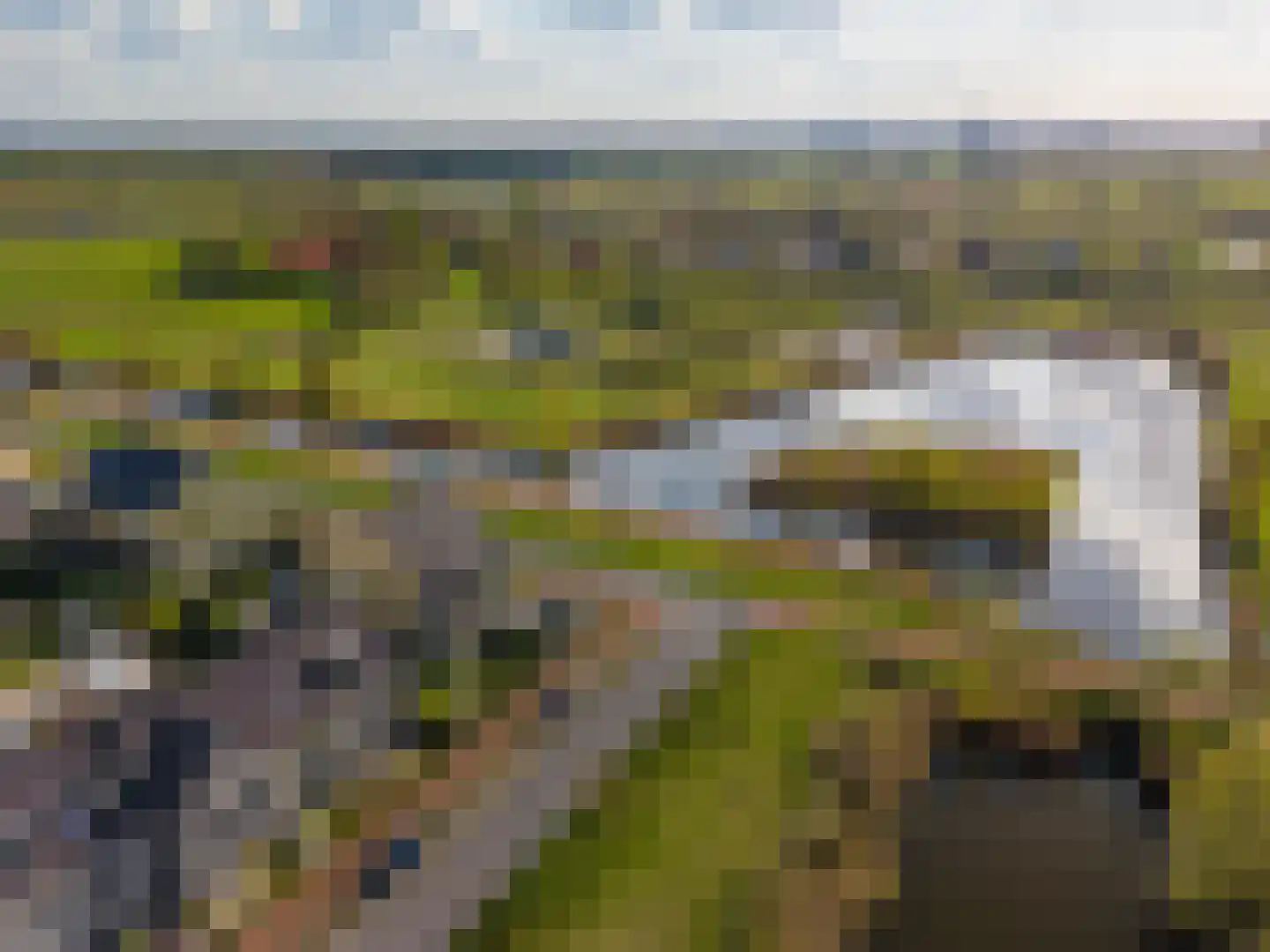 Blaarkop 51 Meerstad thumbnail 11