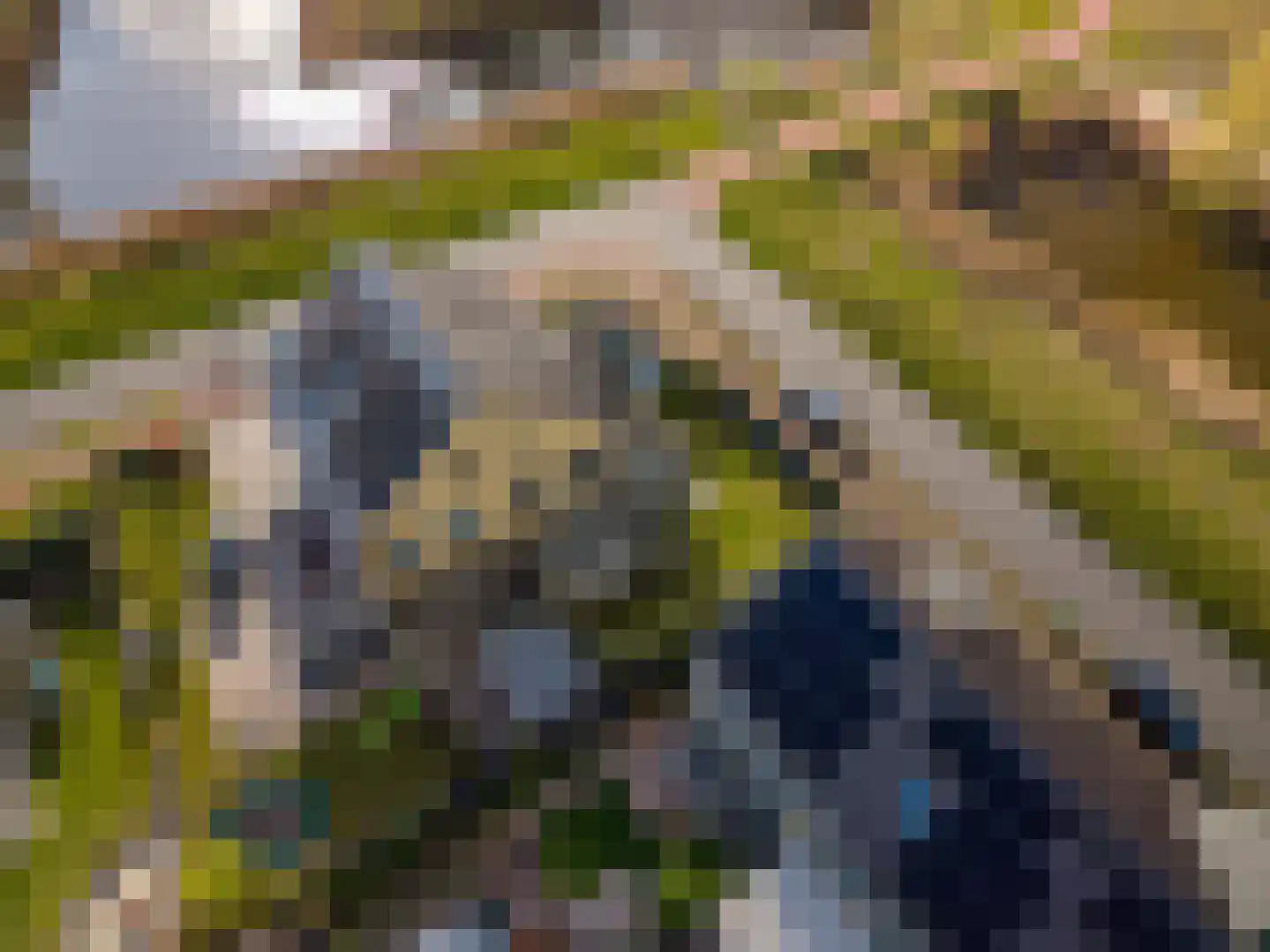 Blaarkop 51 Meerstad thumbnail 12