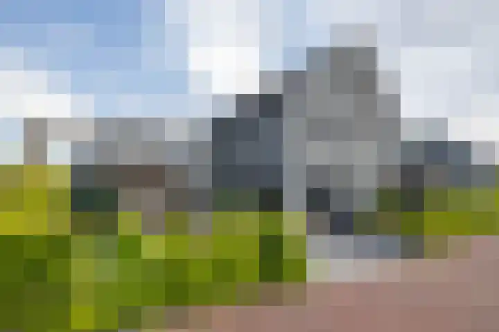 Blaarkop 51 Meerstad thumbnail 13