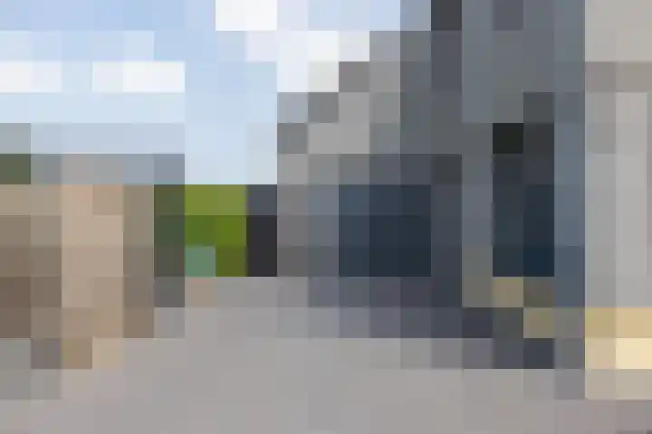 Blaarkop 51 Meerstad thumbnail 14